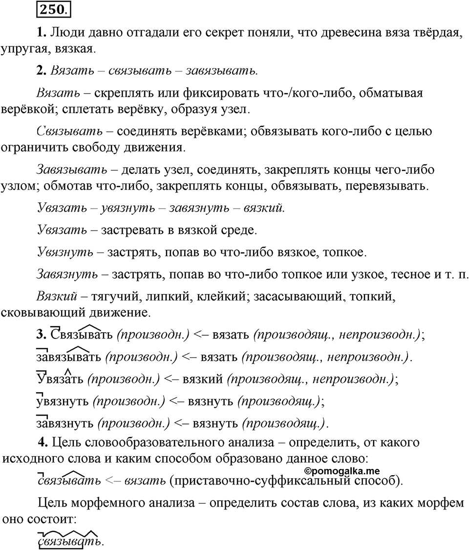 Упражнение 250 — решение 1