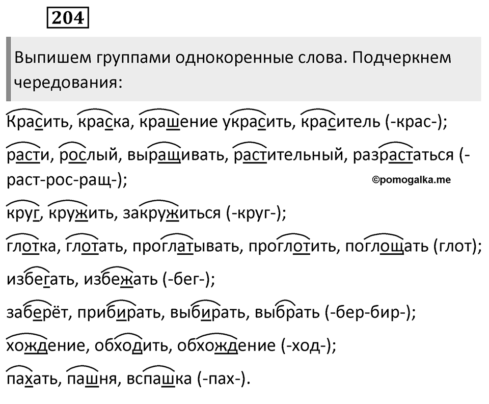Упражнение 204 — решение 2