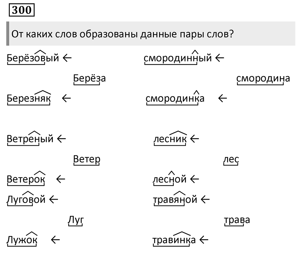 Упражнение 300 — решение 1