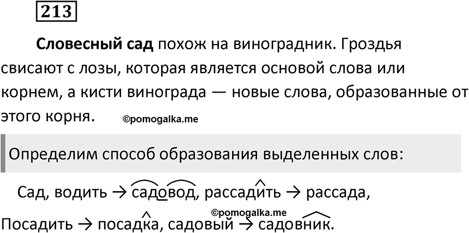 Упражнение 213 — решение 2