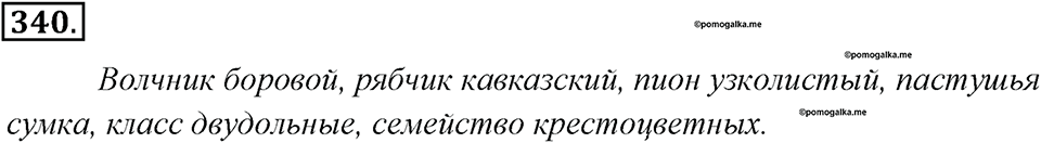 Упражнение 340 — решение 1