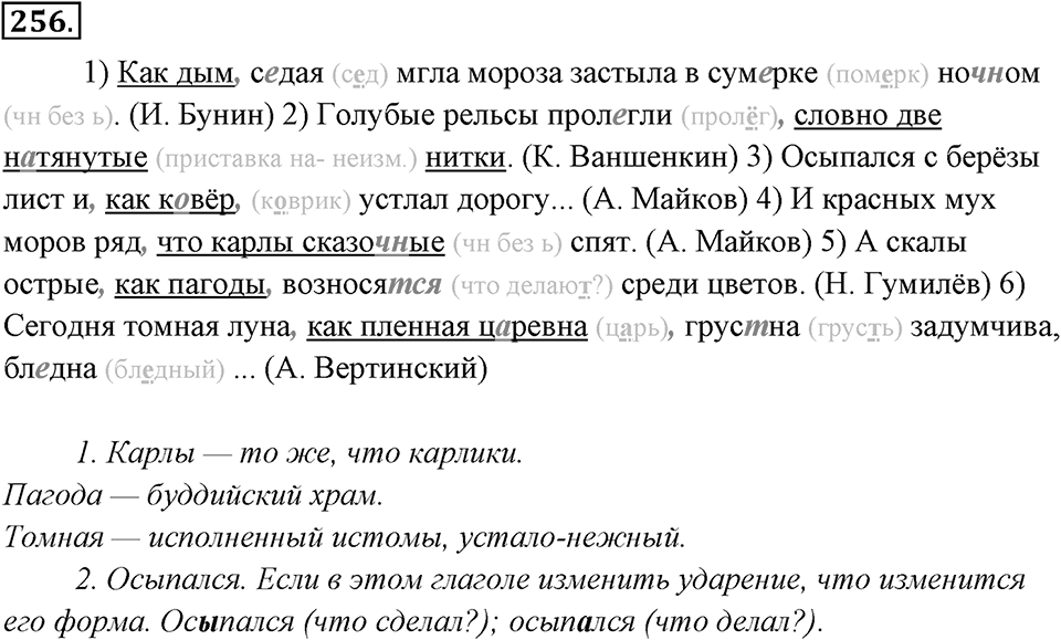 Упражнение 256 — решение 1
