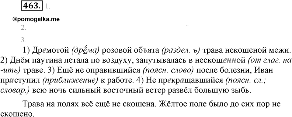 Упражнение 463 — решение 2