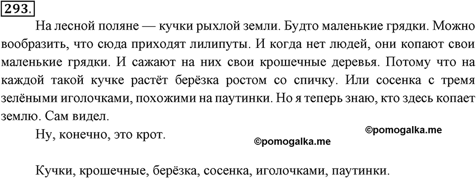 Упражнение 293 — решение 2