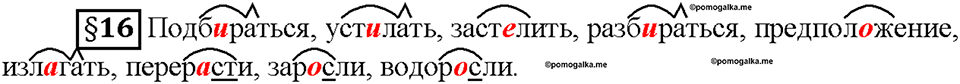 Часть 1. §16. Чередование гласных в корнях -скак-/-скоч-, -равн-/-ровн-, -твар-/твор-. Страница 64, Дополнителые вопросы — решение 1