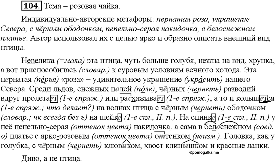 Часть 1. §14. Метафора. Упражнение №104 — решение 1