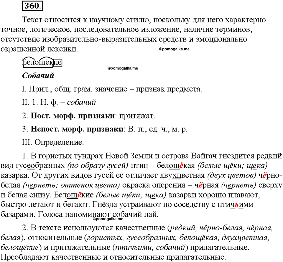 Часть 2. §48. Словообразование имен прилагательных. Правописание сложных прилагательных. Упражнение №360 — решение 1