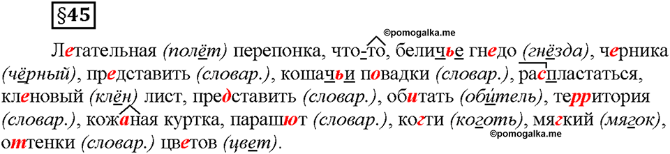 Часть 2. §45. Словообразование имен прилагательных. Буквы О и Е после шипящих и Ц в суффиксах прилагательных. Страница 18, Дополнителые вопросы — решение 1