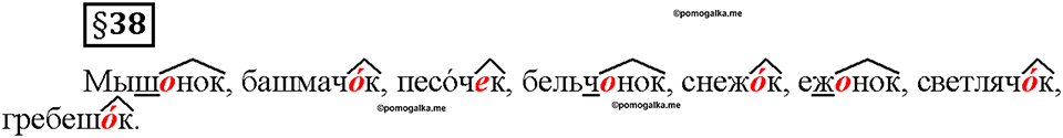 Часть 1. §38. Имя прилагательное как часть речи. Страница 142 (2), Дополнителые вопросы — решение 1