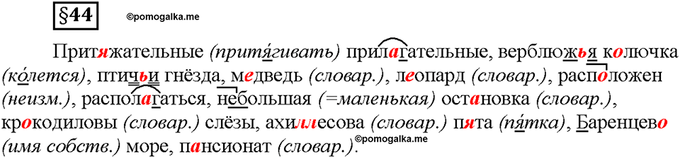 Часть 2. §44. Морфологический разбор имени прилагательного. Страница 16, Дополнителые вопросы — решение 1