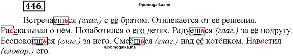 Часть 2. §62. Притяжательные местоимения. Упражнение №446 — решение 1