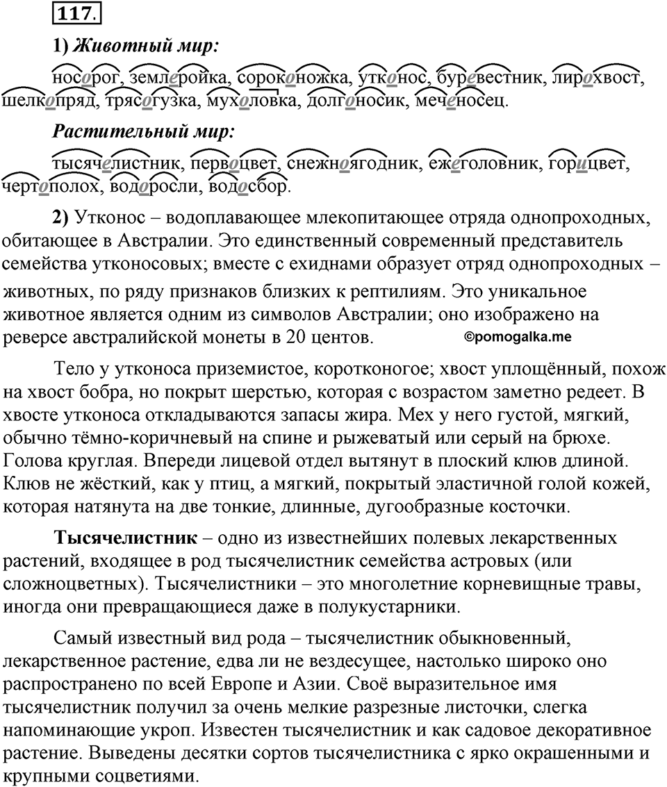 Что такое сферы общения?. §11. Правописание сложных существительных с соединительными гласными. Глава 3. Упражнение №117 — решение 1