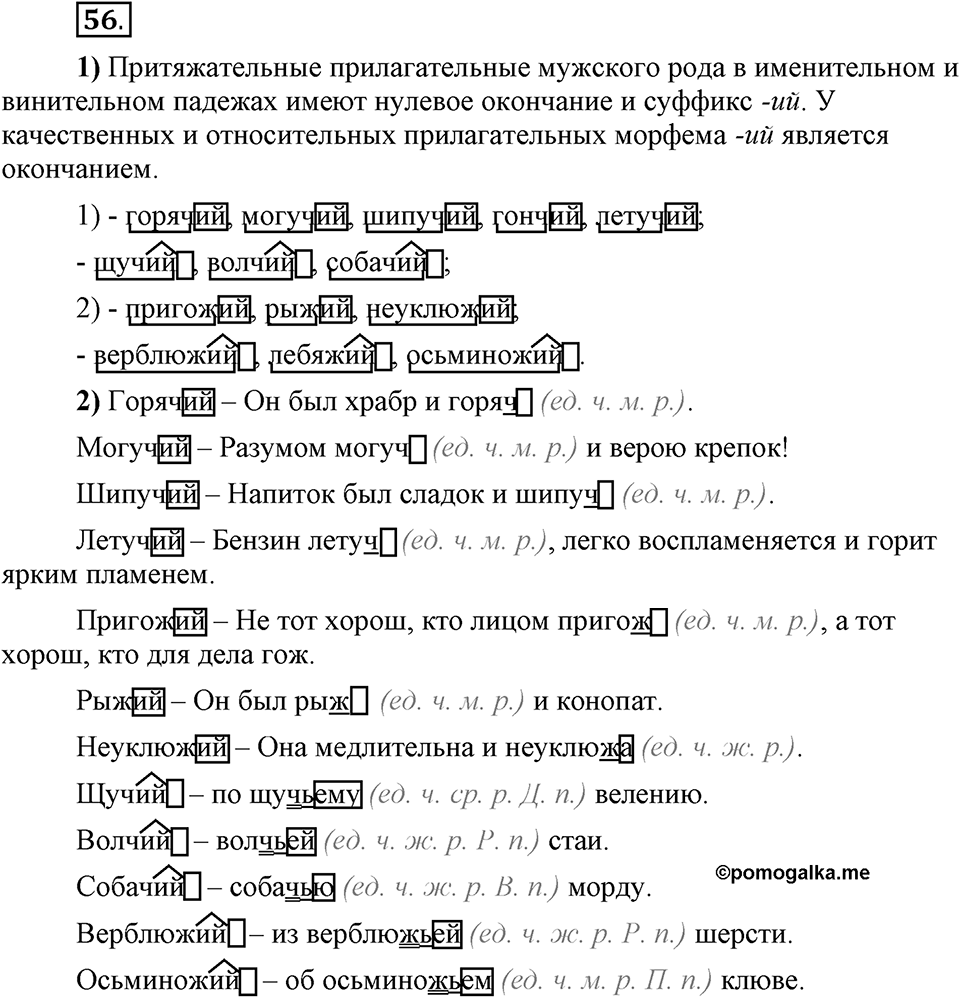 Что значит «современный литературный язык»?. §6. Правописание окончаний имён прилагательных. Глава 1. Упражнение №56 — решение 1