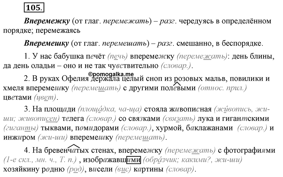 Сколько стилей в современном литературном языке?. §13. Нормативные словари современного русского языка. Глава 4. Упражнение №105 — решение 1