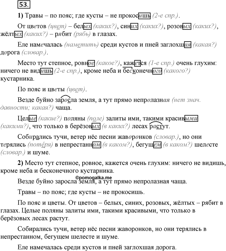 Что значит «современный литературный язык»?. §6. Правописание окончаний имён прилагательных. Глава 1. Упражнение №53 — решение 1