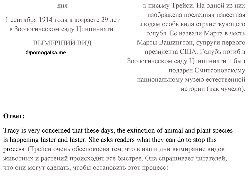 Unit 4. Animal quiz. Unit 4 задание 11 — решение 2