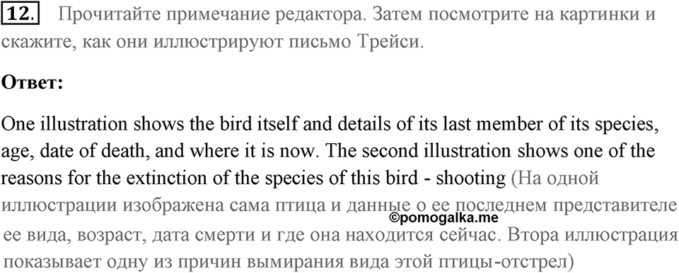 Unit 4. Animal quiz. Unit 4 задание 12 — решение 1
