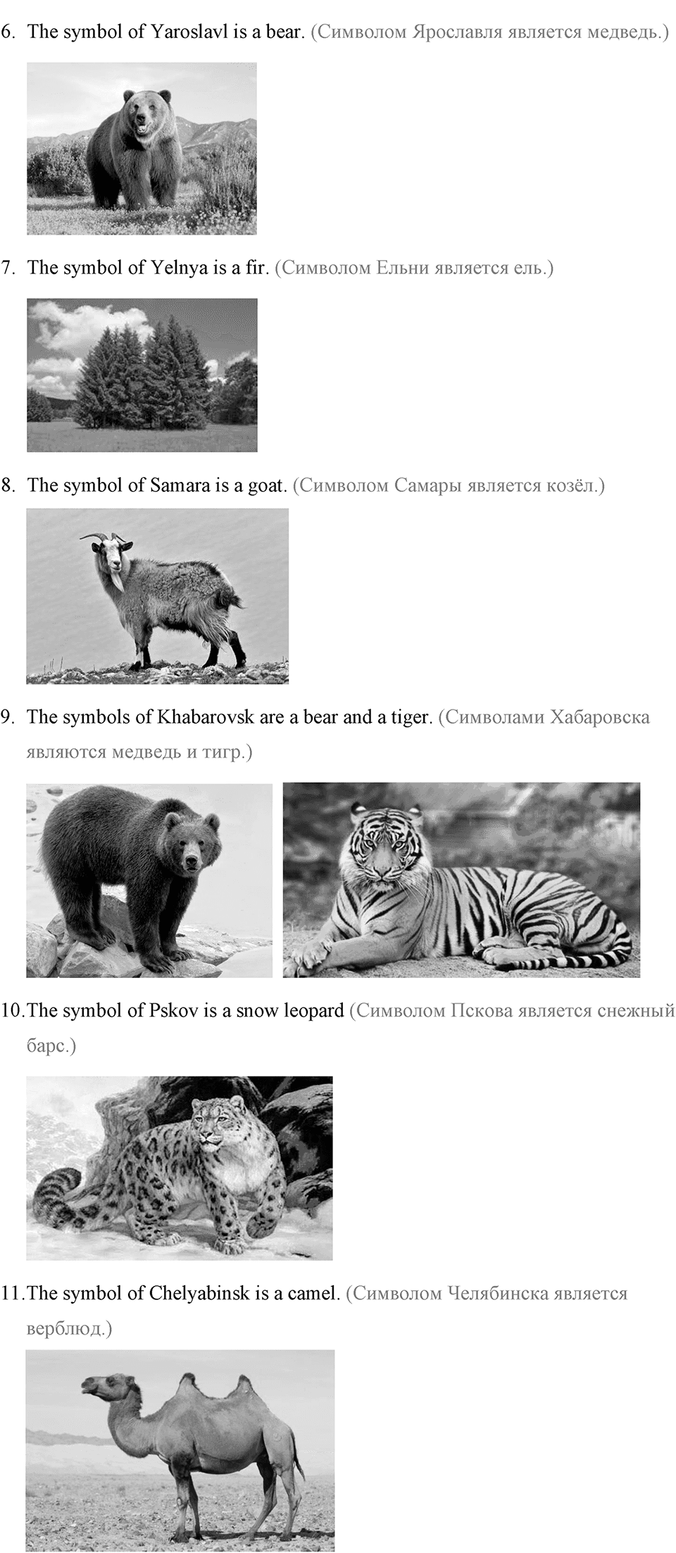 Living Things Around Us. Step 10 Test Yourself номер 7 — решение 2
