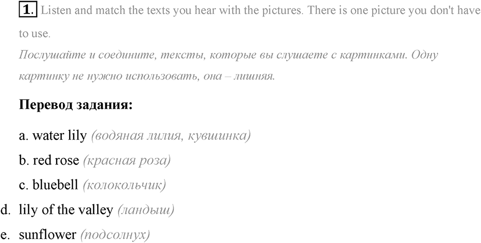 Living Things Around Us. Step 9 Consolidation Class номер 1 — решение 1
