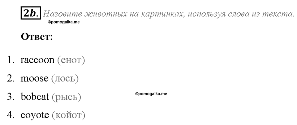 Module 3. Страница 48. 3c. Culture Corner. Задание №2b — решение 1