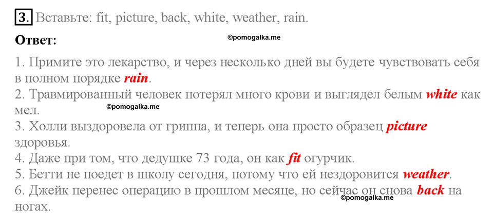Module 7. VB10. Vocabulary Bank 4. Задание №3 — решение 1