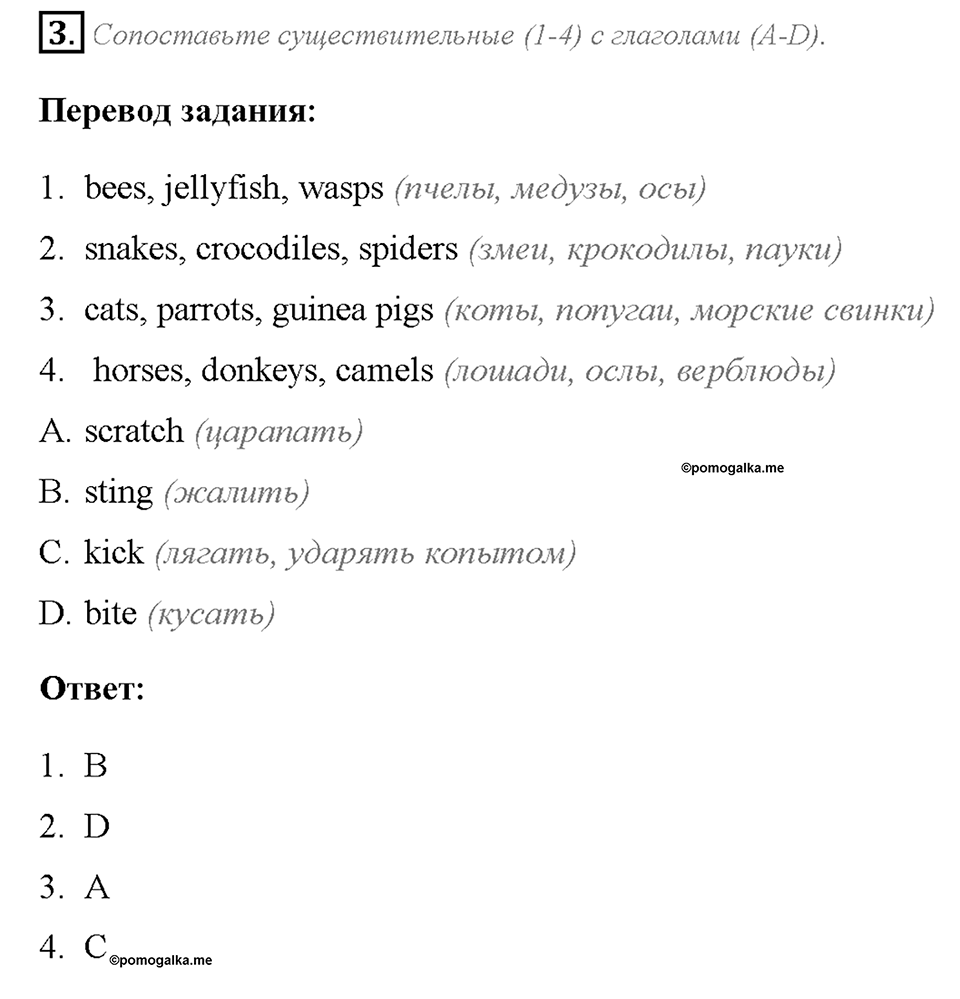 Module 4. Страница 66. 4c. Culture Corner. Задание №3 — решение 1