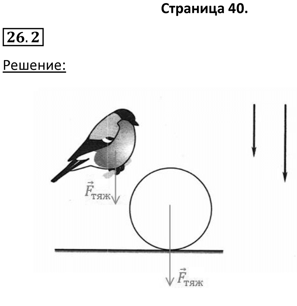Номер 26.2 — решение 1