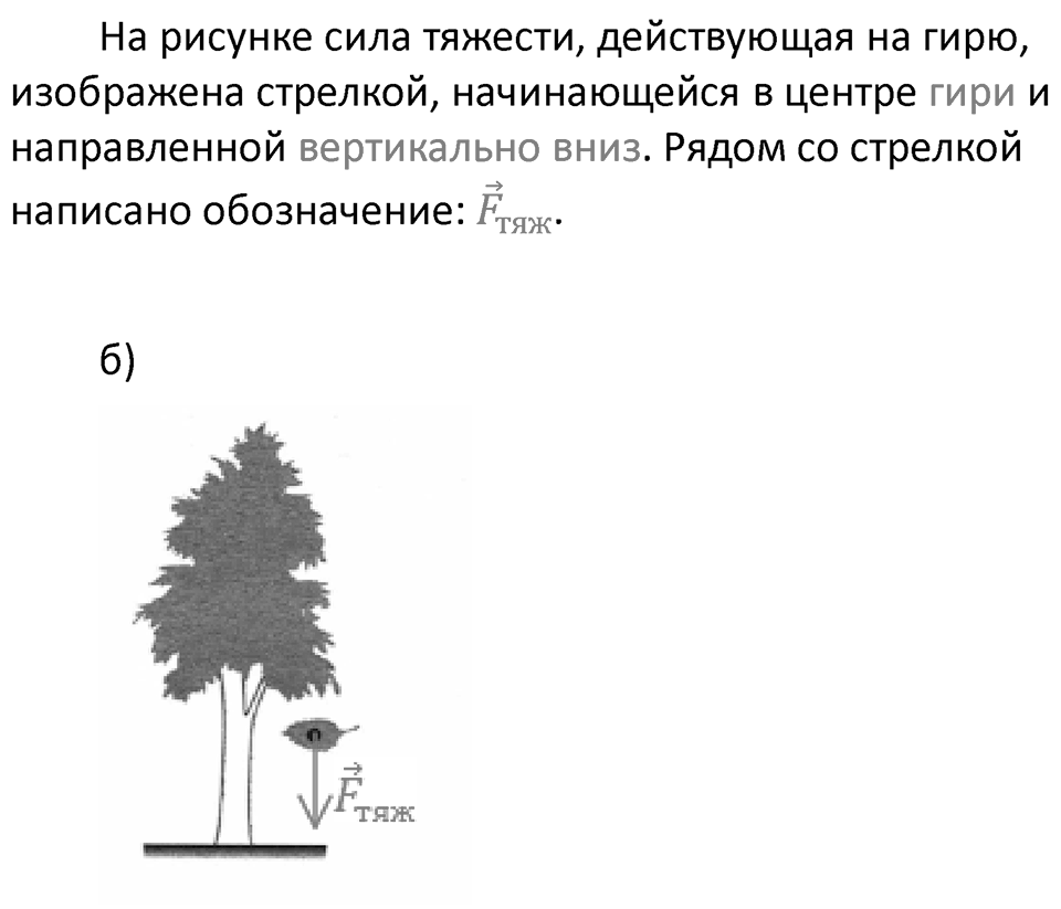 Страница 39 — решение 2