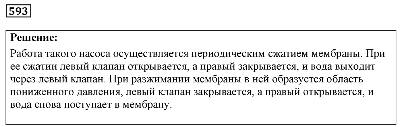 Задача №593 — решение 1