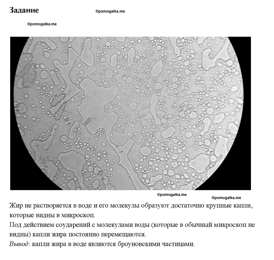 Глава 1. Первоначальные сведения о строении вещества. Броуновское движение. §9. Задание №1 — решение 1