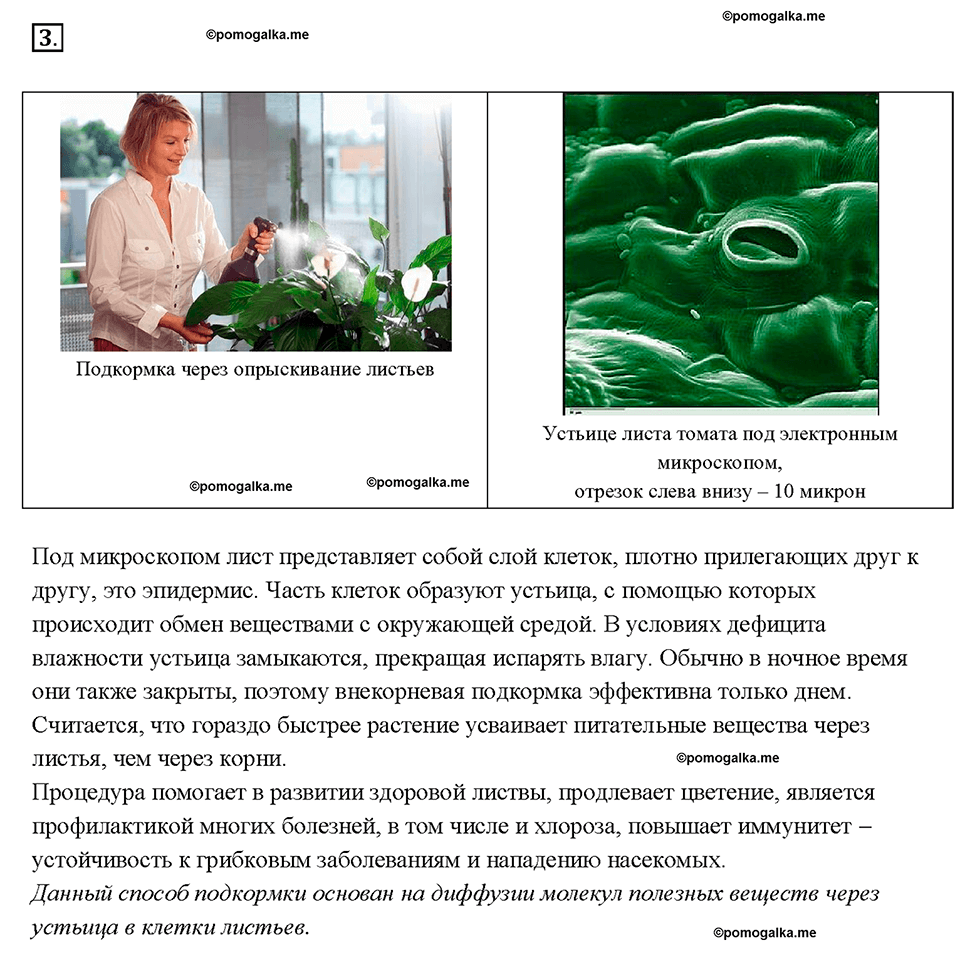 Глава 1. Первоначальные сведения о строении вещества. Диффузия в газах, жидкостях и твердых телах. §10. Задание №3 — решение 1