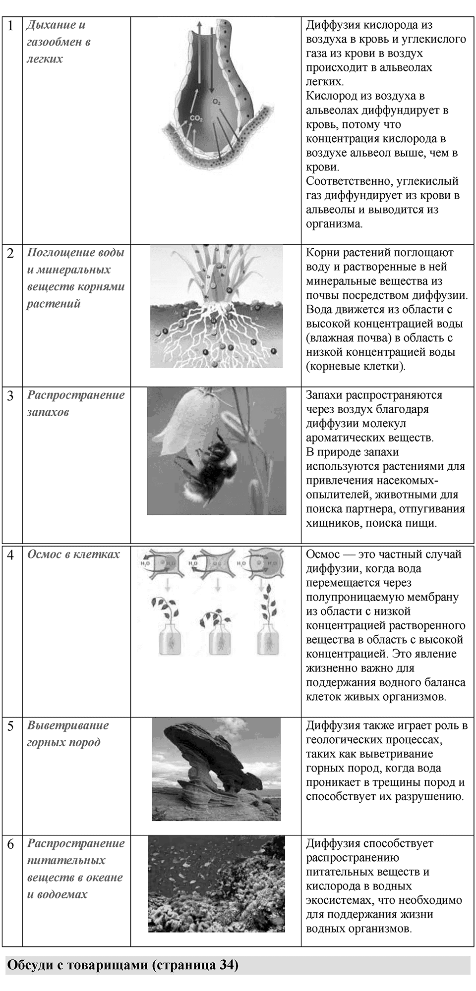 Параграф 10 — решение 2