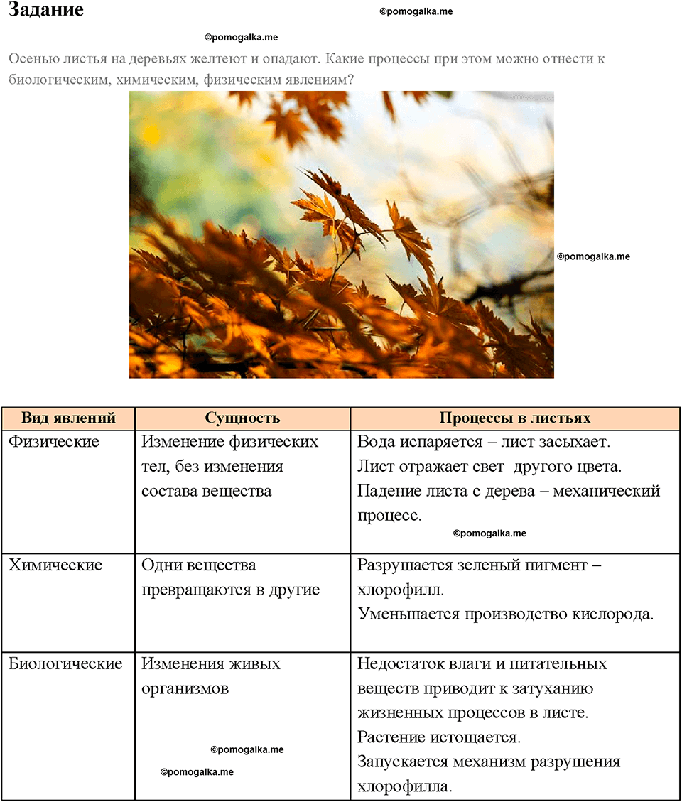 Введение. Что изучает физика. §1. Задание №1 — решение 1