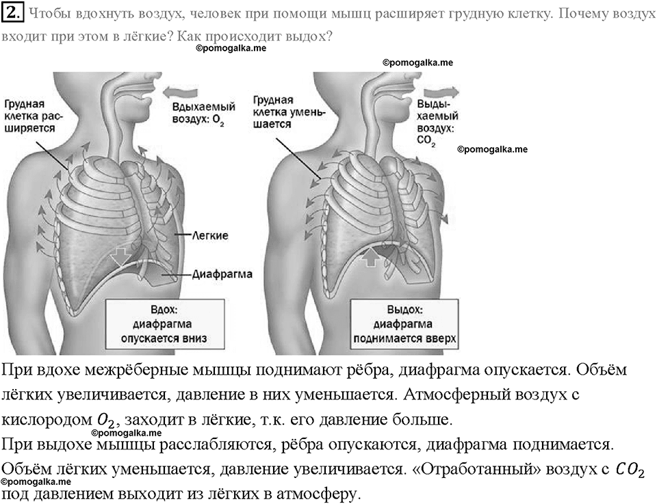 Глава 3. Давление твердых тел, жидкостей и газов. Почему существует воздушная оболочка земли. §43. Упражнение 20, номер №2 — решение 1
