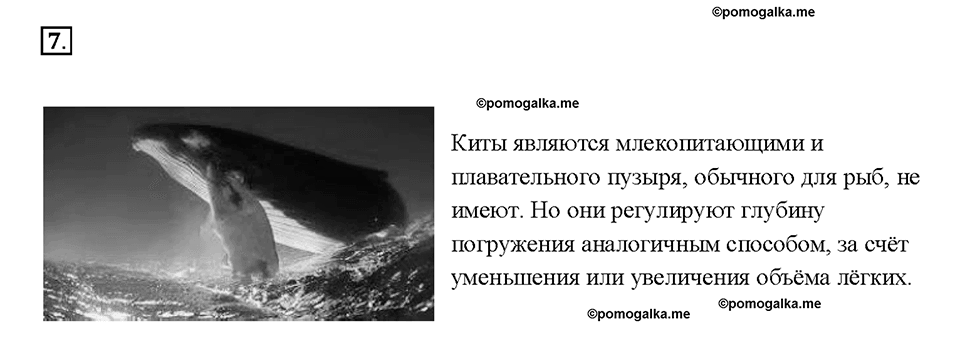 Глава 3. Давление твердых тел, жидкостей и газов. Плавание тел. §52. Вопрос №7 — решение 1