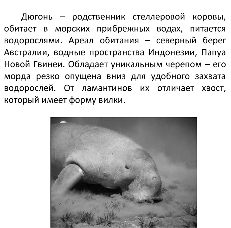Страница 95 — решение 5