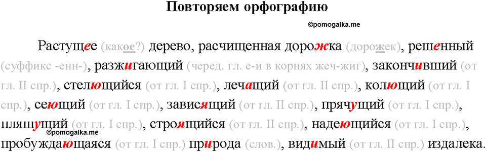 §15. Образование причастий настоящего времени. Повторяем орфографию — решение 1