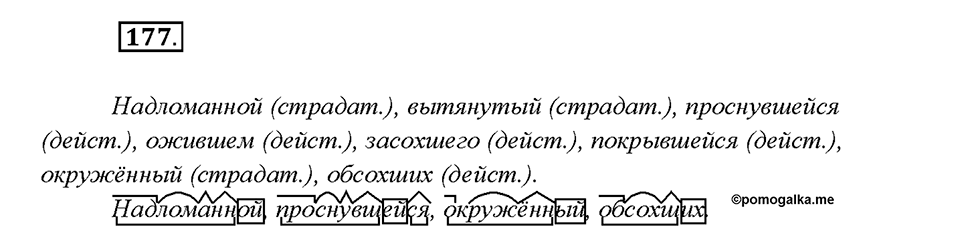 Упражнение 177 — решение 1