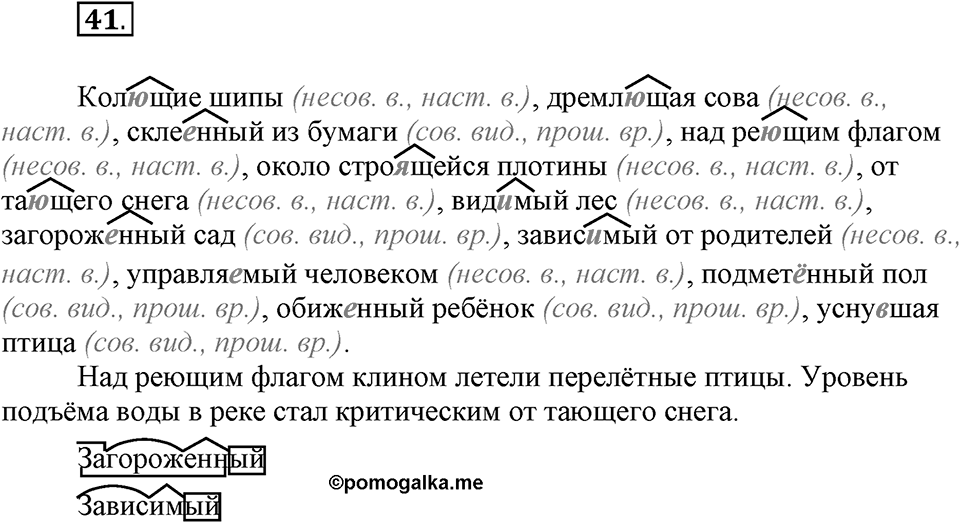 Упражнение №41 — решение 1