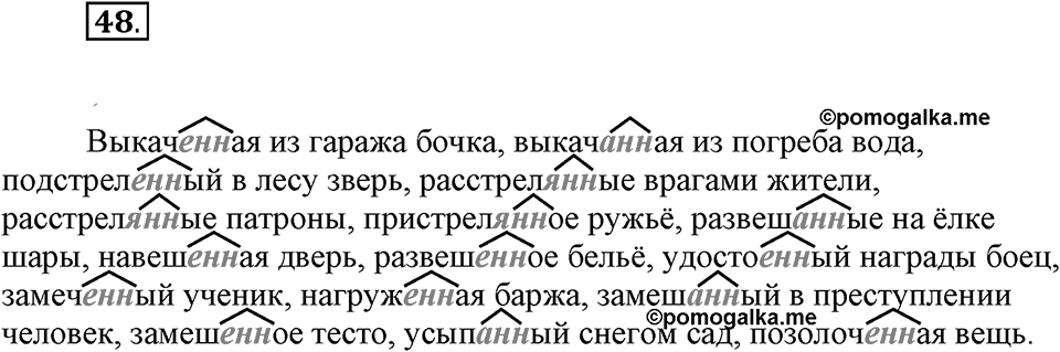 Упражнение №48 — решение 1