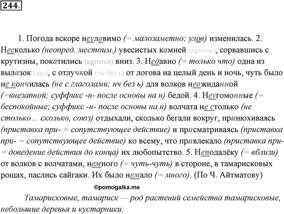 Упражнение 244 — решение 2