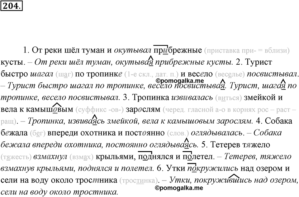 Упражнение 204 — решение 3