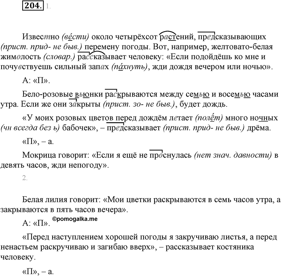 Упражнение 204 — решение 1