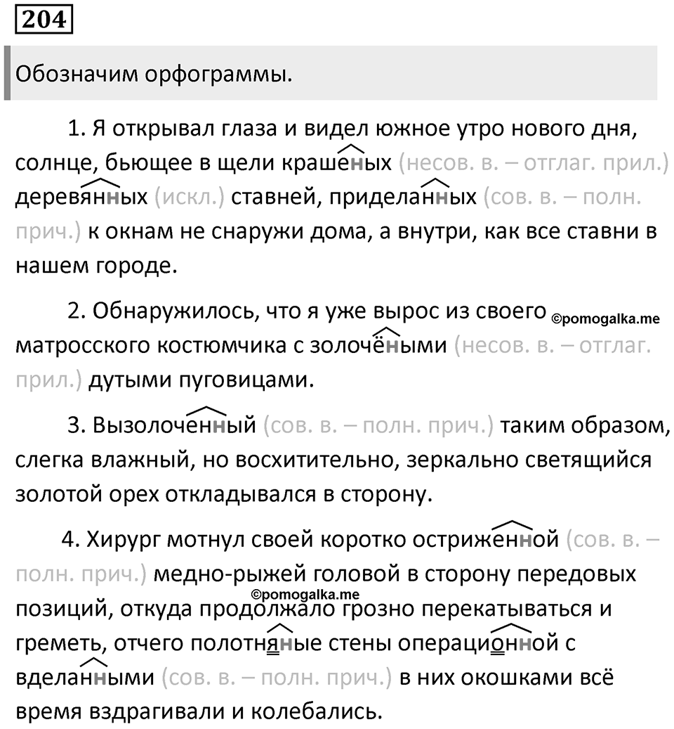 Упражнение 204 — решение 1