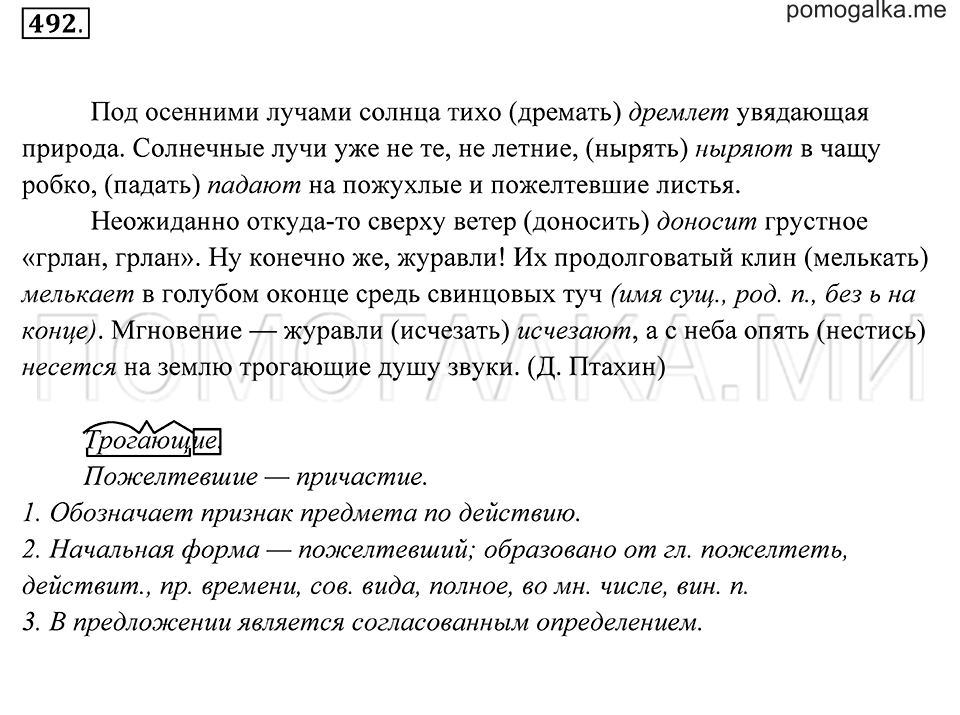 Упражнение 492 — решение 2