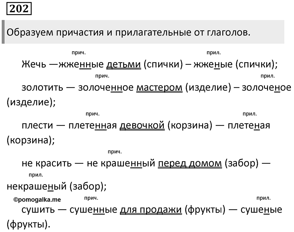 Упражнение 202 — решение 1