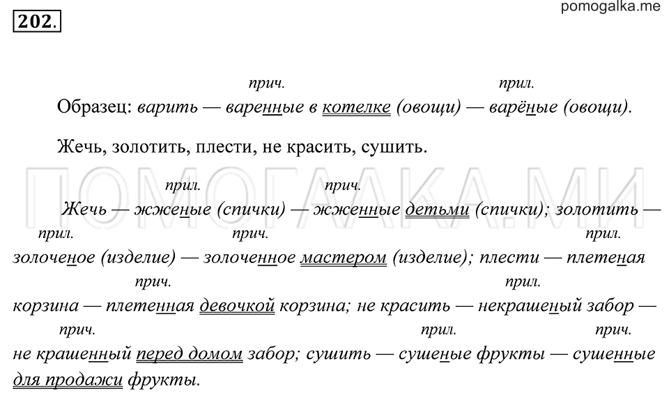 Упражнение 202 — решение 2