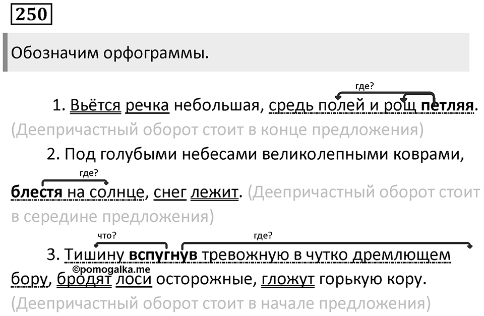 Упражнение 250 — решение 1