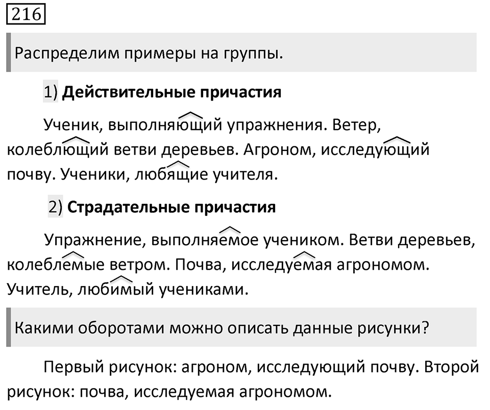 Упражнение 216 — решение 1