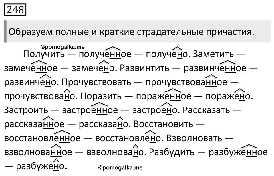 Упражнение 248 — решение 1